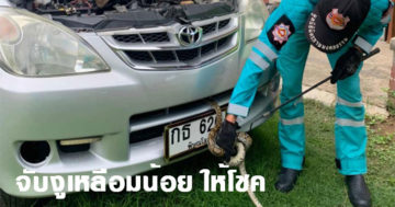 จับงูเหลือมน้อย เลื้อยเข้ากระโปรงรถสาวใหญ่ เชื่อมาให้โชค