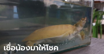 ข่าวหวย