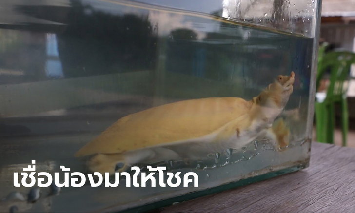 ข่าวหวย