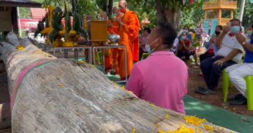 ข่าวหวย