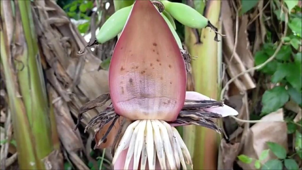 ข่าวหวย