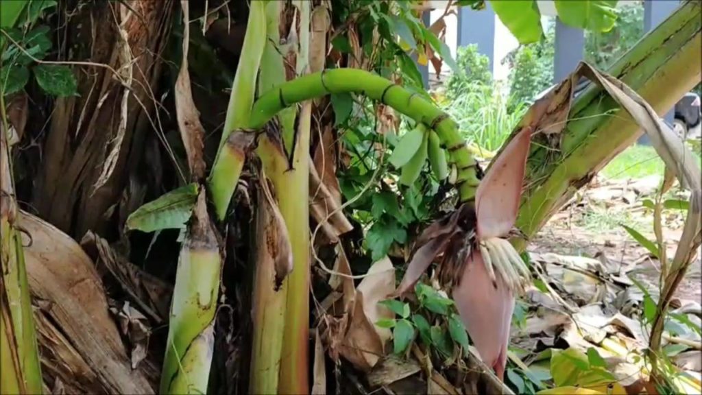 ข่าวหวย