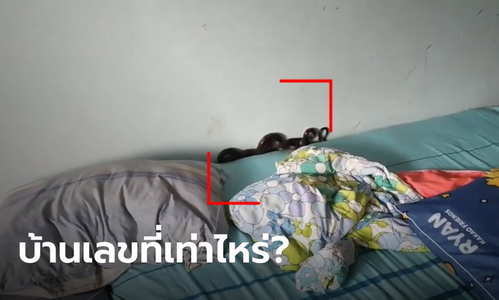 ข่าวหวย
