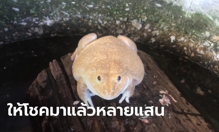 ข่าวหวย