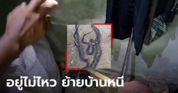 ข่าวหวย