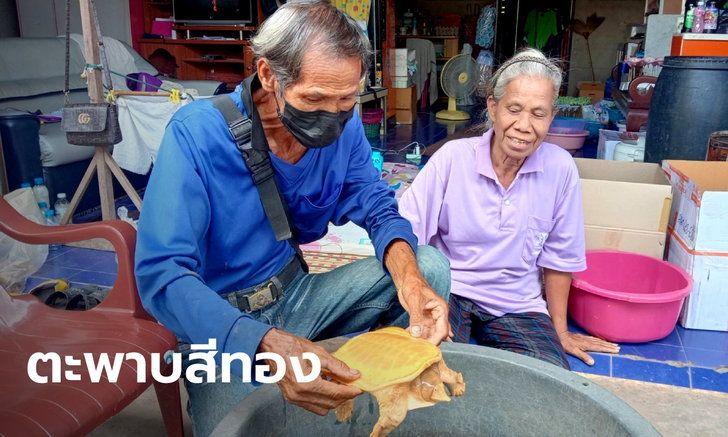 ข่าวหวย
