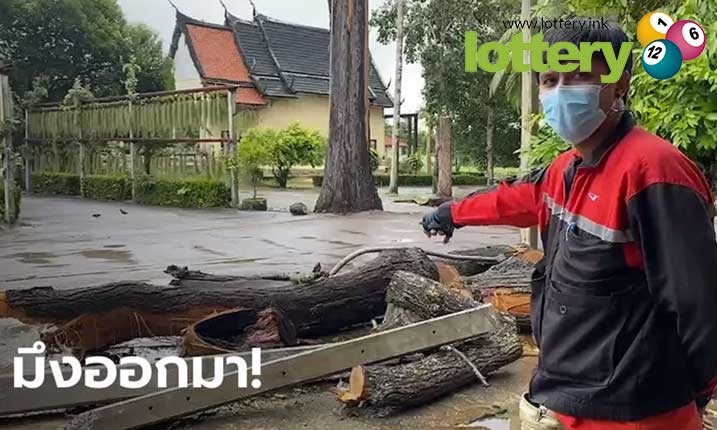 ข่าวหวยออนไลน์