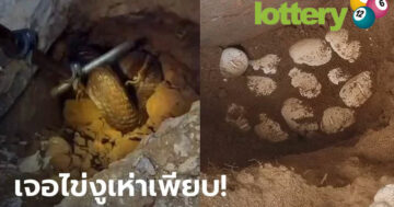 ข่าวหวยออนไลน์