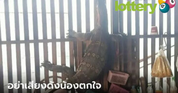 ข่าวหวยออนไลน์