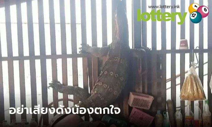 ข่าวหวยออนไลน์