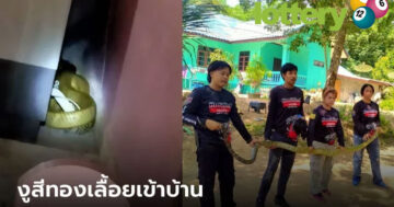 ข่าวกีฬา