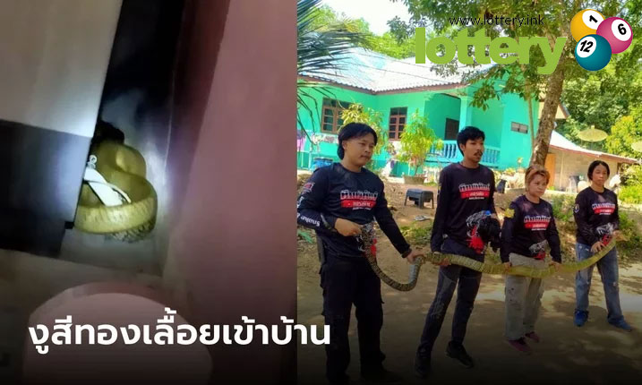 ข่าวกีฬา