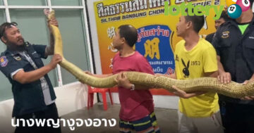 ข่าวหวยออนไลน์