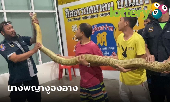 ข่าวหวยออนไลน์