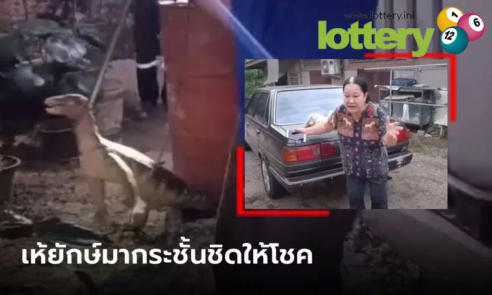 ข่าวหวยออนไลน์