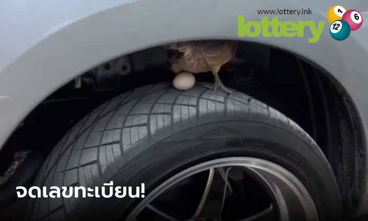 ข่าวหวยออนไลน์