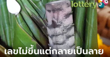 ข่าวหวยออนไลน์
