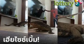 ข่าวหวยออนไลน์