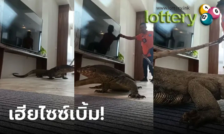 ข่าวหวยออนไลน์