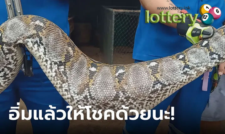 ข่าวหวยออนไลน์