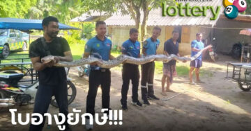 ข่าวหวยออนไลน์