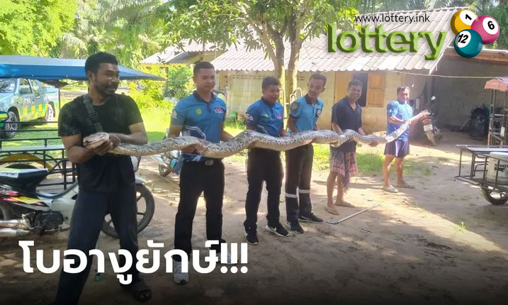 ข่าวหวยออนไลน์