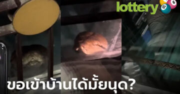 ข่าวหวยออนไลน์