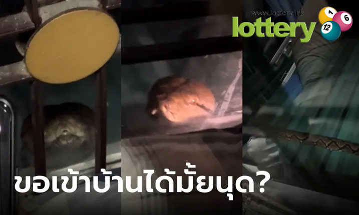 ข่าวหวยออนไลน์