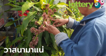 ข่าวหวยออนไลน์