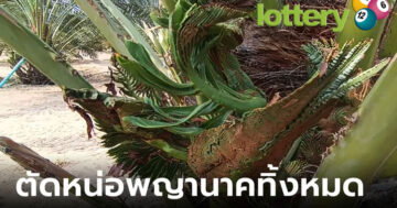 ข่าวหวยออนไลน์