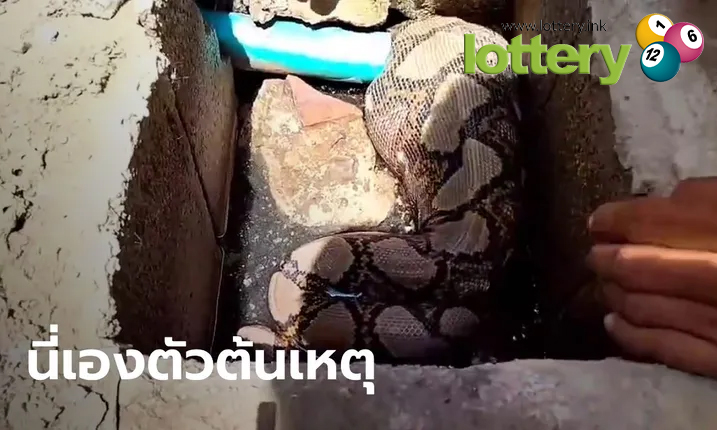 ข่าวหวยออนไลน์