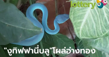 ข่าวหวยออนไลน์
