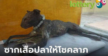ข่าวหวยออนไลน์