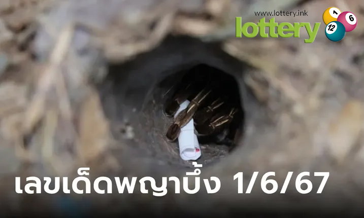 ข่าวหวยออนไลน์