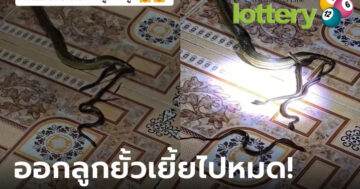 ข่าวหวยออนไลน์