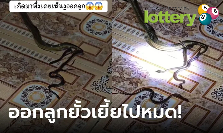 ข่าวหวยออนไลน์