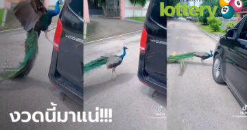 ข่าวหวยออนไลน์